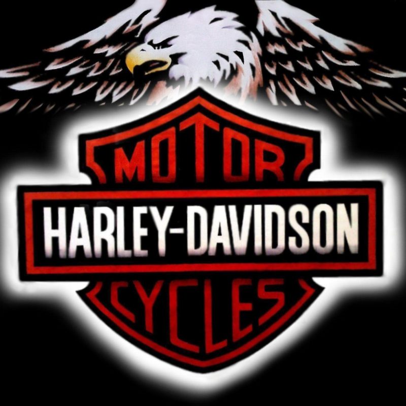 10 Latest Harley Davidson Symbol Pics FULL HD 1920×1080 For PC Desktop 2024 free download harley davidson logo wallpapers wallpaper cave 5 800x800