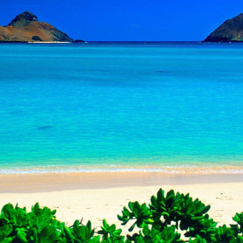 10 Latest Pics Of Hawaiian Beaches FULL HD 1080p For PC Desktop 2024 free download hawaiian beach sand 800x800