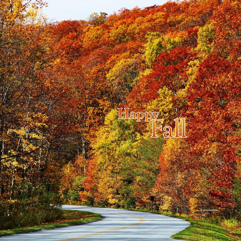 10 New Fall Colors Hd Wallpaper FULL HD 1920×1080 For PC Desktop 2024 free download hd fall color 4k picture 800x800