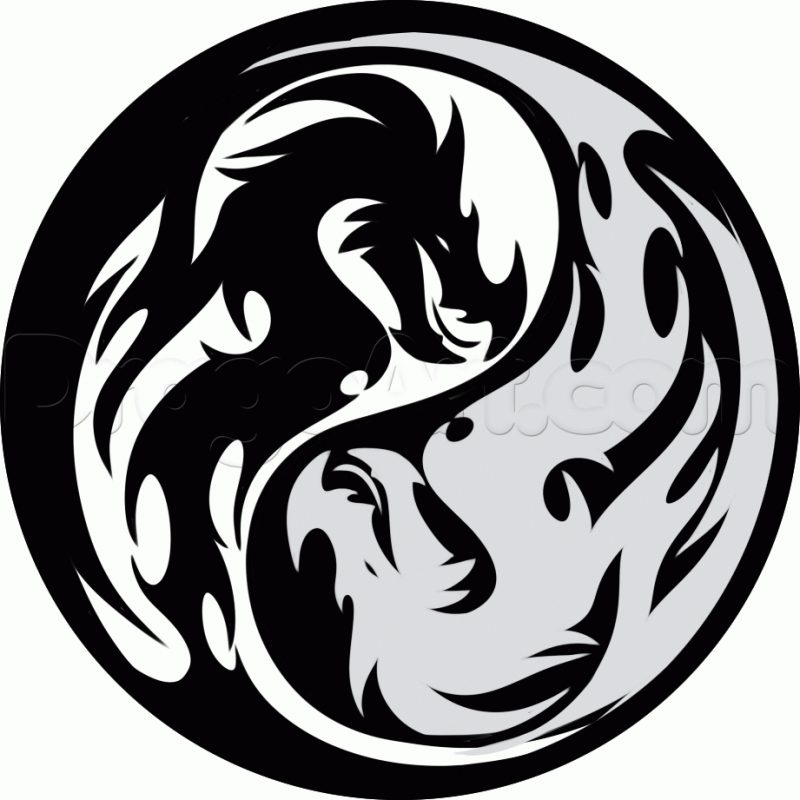 10 Top Yin And Yang Dragons FULL HD 1920×1080 For PC Background 2024 free download how to draw a tribal yin yang stepstep symbols pop culture 800x800