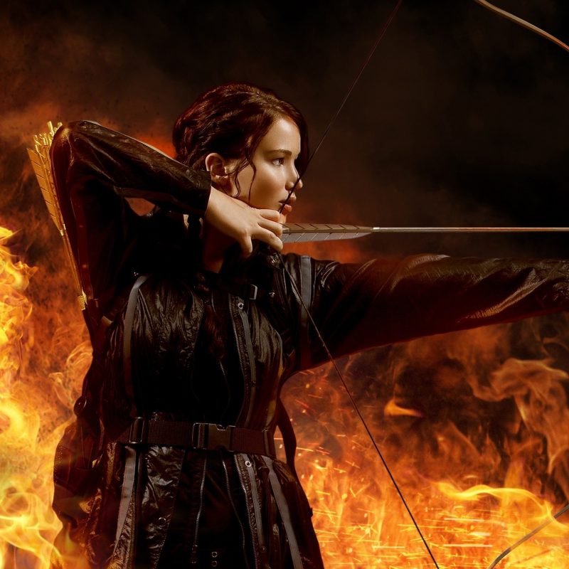 10 Latest Bow And Arrows Wallpaper FULL HD 1080p For PC Background 2024 free download hunger games bow and arrow hd wallpapers 800x800