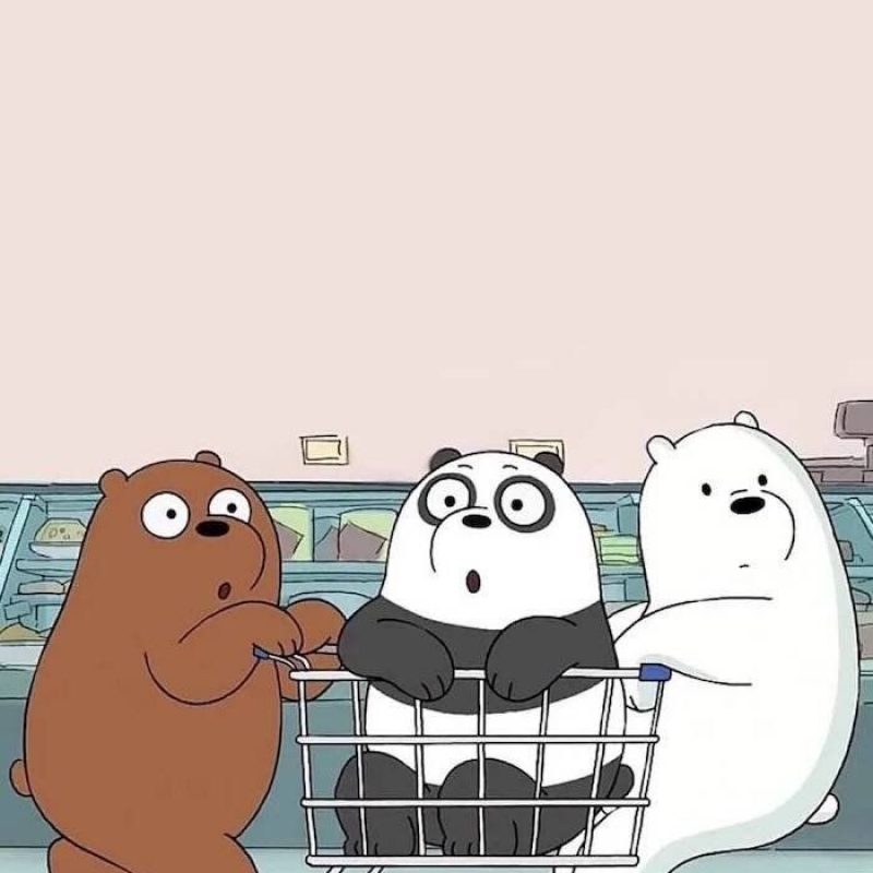 10 Latest We Bare Bears Iphone Wallpaper FULL HD 1080p For PC Desktop 2024 free download im recently obsessed with we bare bears wallpapers 1 800x800