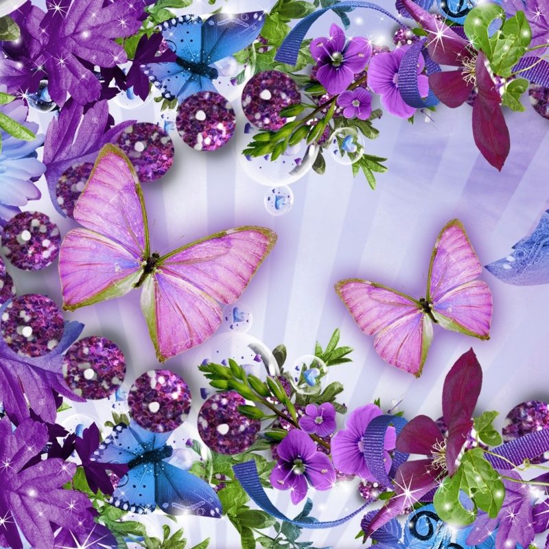 10 Most Popular Flowers And Butterflies Wallpaper FULL HD 1920×1080 For PC Background 2021 free download images of flowers and butterflies bdfjade 800x800