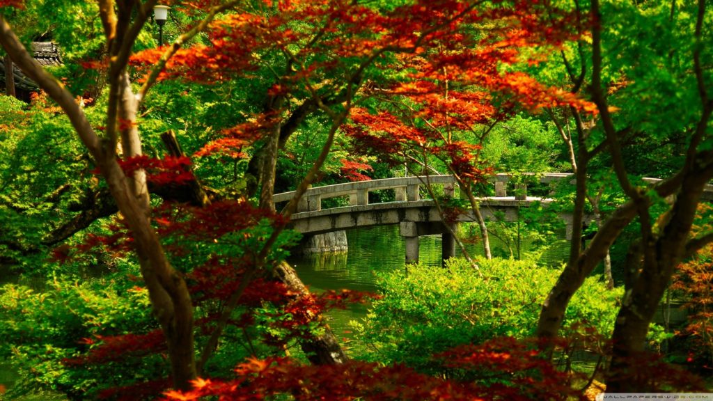 10 Best Zen Garden Wallpaper Hd FULL HD 1080p For PC Background 2024 free download japanese garden kyoto e29da4 4k hd desktop wallpaper for 4k ultra hd 1024x576