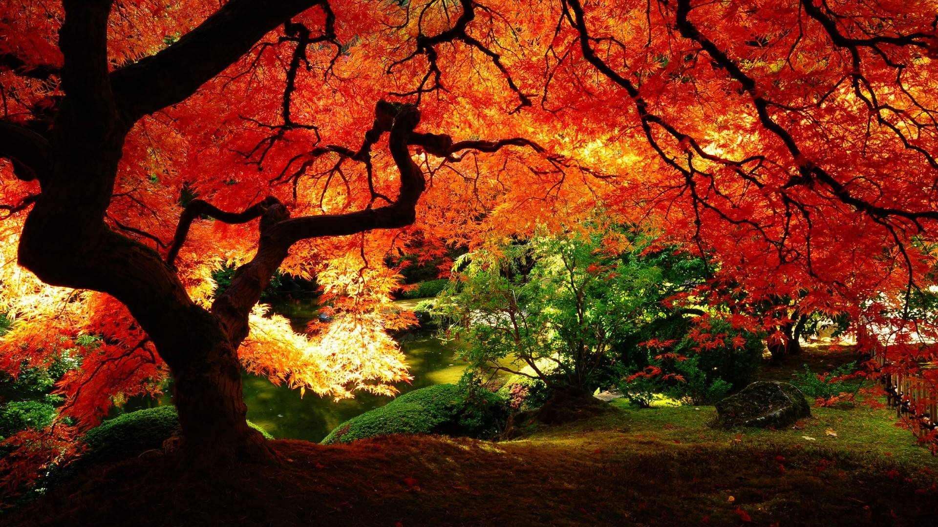japanese gardens wallpapers - wallpaper cave