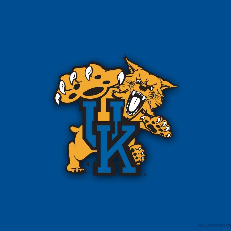 10 Most Popular Kentucky Wildcats Basketball Wallpaper FULL HD 1080p For PC Background 2024 free download kentucky basketball images wildcats hd wallpaper and background 2 800x800
