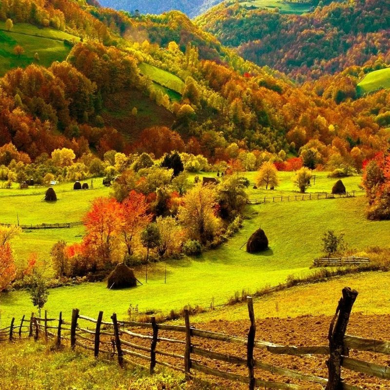 10 Most Popular Fall Harvest Wallpaper Backgrounds FULL HD 1920×1080 For PC Background 2021 free download landscapes landscapes color leaves hills farm harvest autumn 800x800