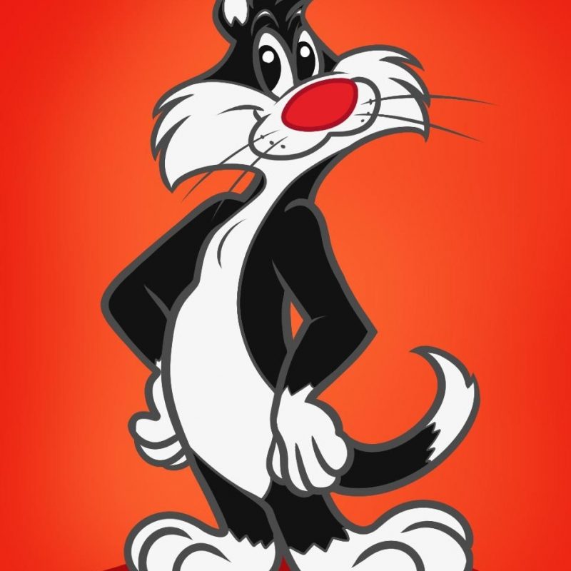 10 Best Pictures Of Sylvester The Cat FULL HD 1920×1080 For PC Desktop 2024 free download learn how to draw sylvester the cat cartoons cartoons draw 800x800
