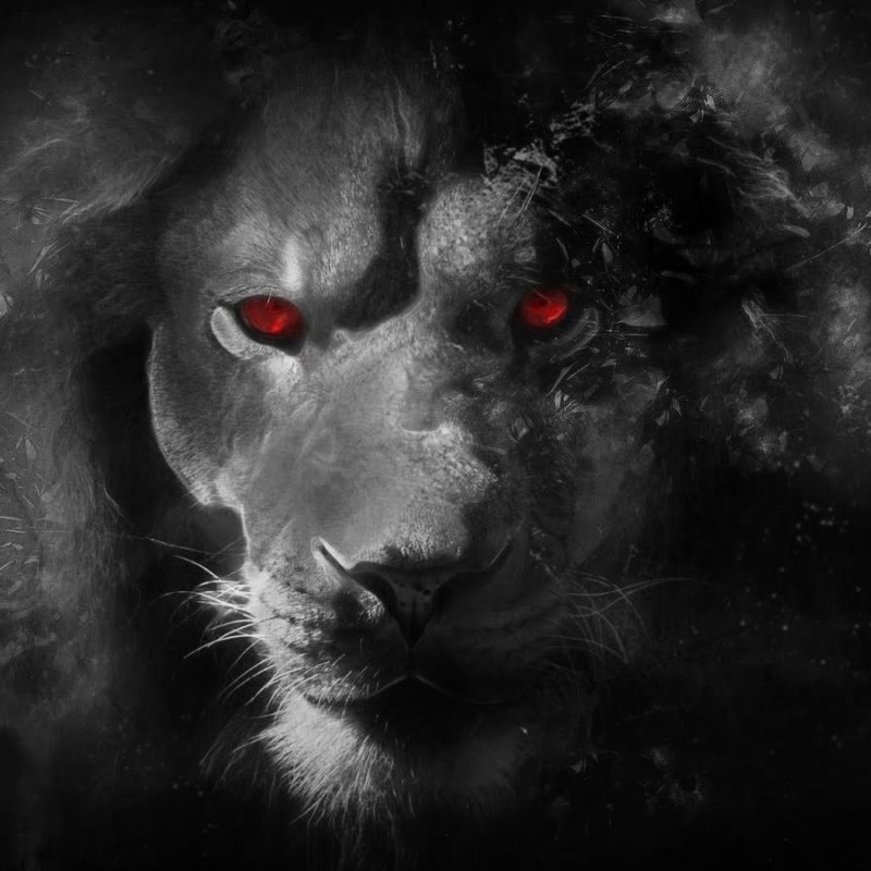 10 New Black Wolf With Red Eyes Wallpaper FULL HD 1080p For PC Desktop 2024 free download lion eyes wallpaper 800x800