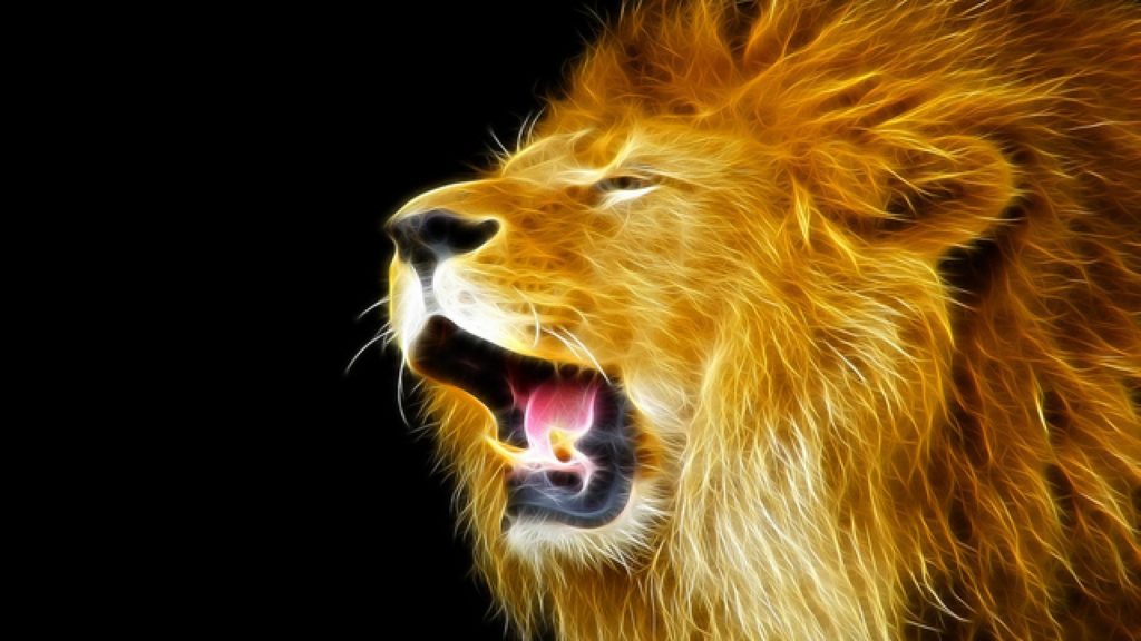 10 Most Popular Hd Lion Wallpapers 1080P FULL HD 1920×1080 For PC Desktop 2024 free download lion wallpaper 1920x1080 hd wallpapers hd backgroundstumblr 1024x576