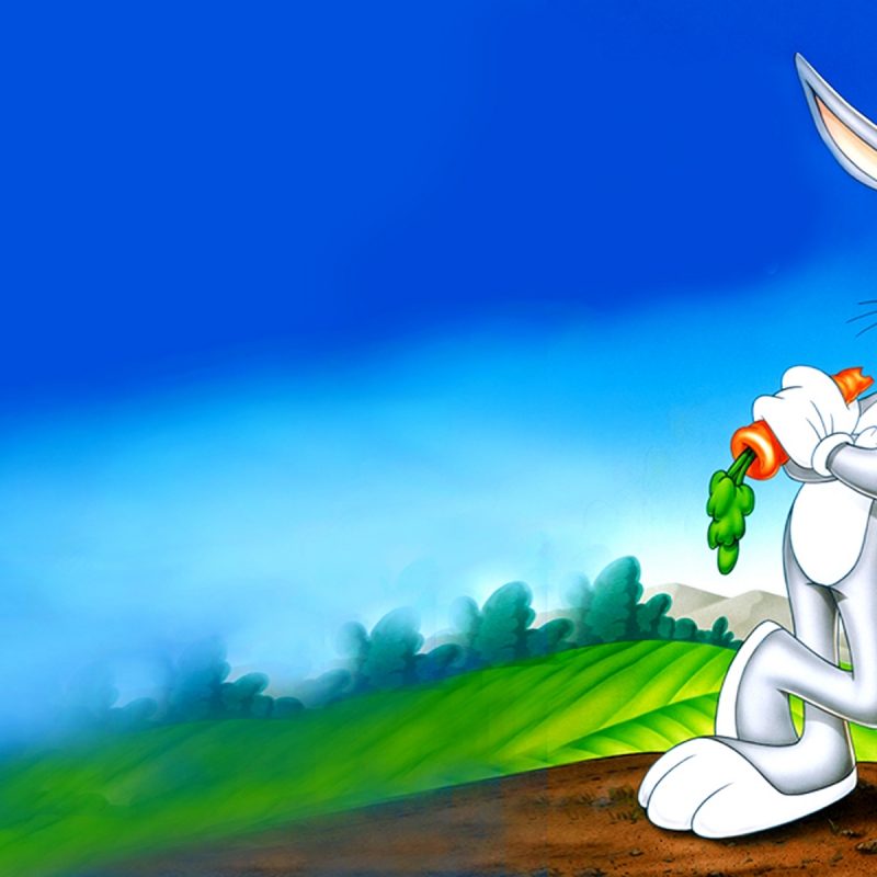 10 Latest Looney Toons Wall Paper FULL HD 1920×1080 For PC Background 2024 free download looney tunes bugs bunny cartoons desktop hd wallpaper for pc tablet 800x800