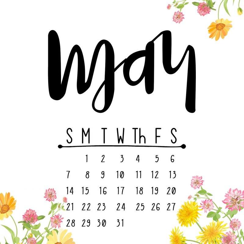 10 Top May 2017 Calendar Wallpaper FULL HD 1080p For PC Background 2024 free download may 2017 printable calendar wallpapers kelly sugar crafts 800x800