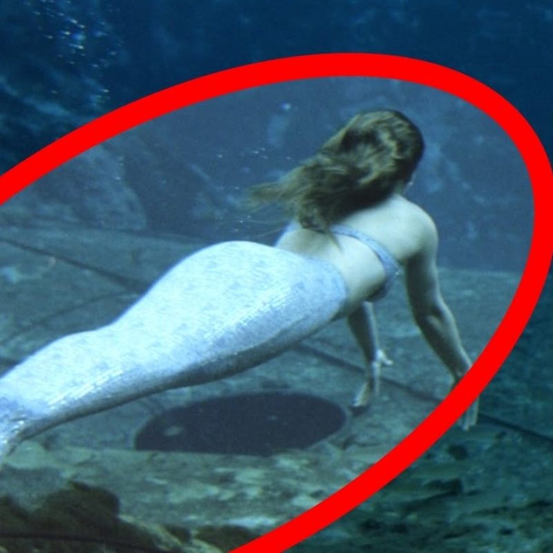 10 Latest A Picture Of A Real Mermaid FULL HD 1080p For PC Background 2021 free download mermaids caught on tape best real mermaid videos youtube 800x800