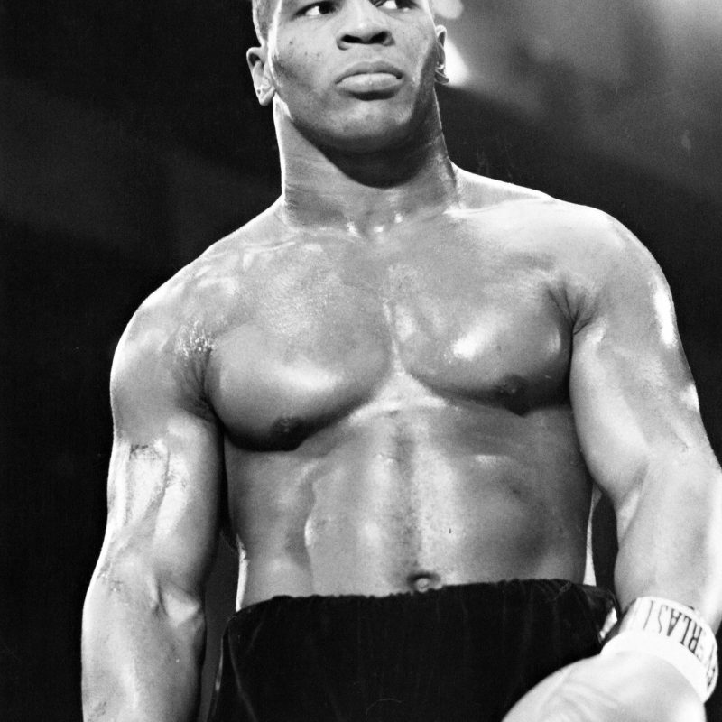 10 Best Mike Tyson Iphone Wallpaper FULL HD 1080p For PC Background 2024 free download mike tyson knockout wallpaper high quality desktop wallpaper box 800x800
