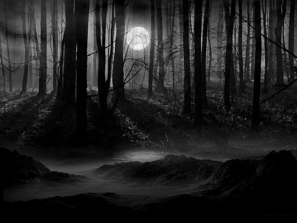 10 Latest Dark Forest Background With Moon FULL HD 1920×1080 For PC Background 2024 free download moon scenery backgrounds dark forest moon wallpaper lunachild 1024x768