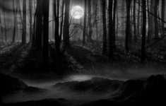 moon scenery backgrounds | dark forest moon wallpaper | lunachild