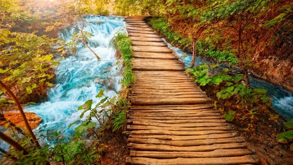 10 Top Awesome Nature Backgrounds 1080P FULL HD 1920×1080 For PC Desktop 2024 free download most beautiful nature wallpapers hd pictures onehdwallpapers 1024x576