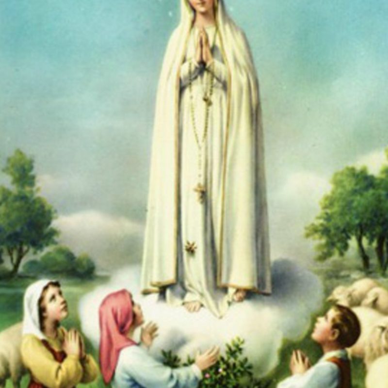 10 New Photos Of Mother Mary FULL HD 1080p For PC Background 2024 free download mother mary wallpaper 53 images 1 800x800