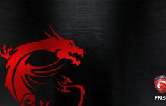 msi gaming wallpaper - red dragon emobossed (1920×1080) | msi