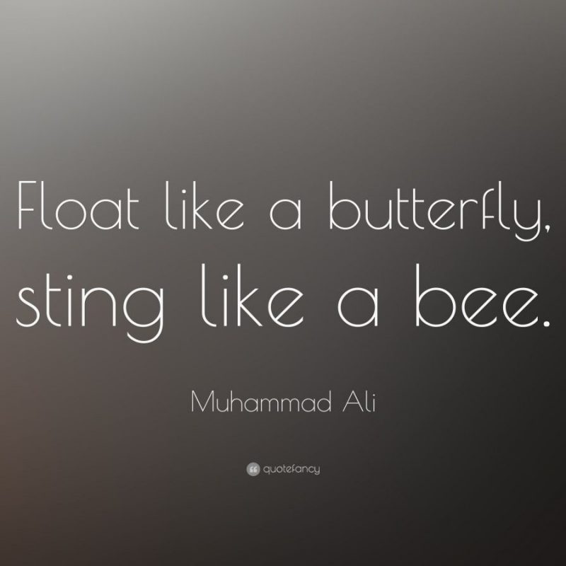 10 Latest Muhammad Ali Quotes Wallpaper FULL HD 1080p For PC Background 2024 free download muhammad ali quotes 100 wallpapers quotefancy 2 800x800