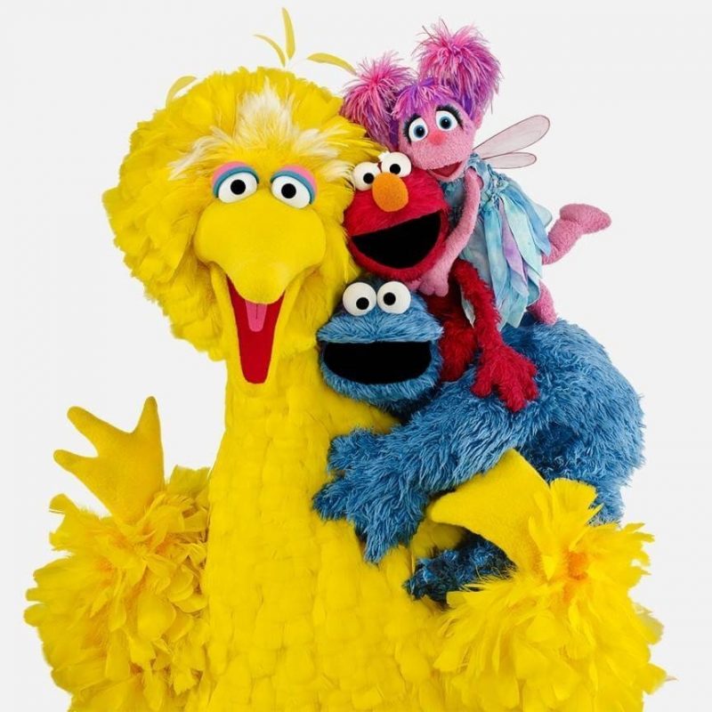 10 Most Popular Sesame Street Character Pics FULL HD 1920×1080 For PC Desktop 2024 free download new sesame street character is changing the way children see 800x800