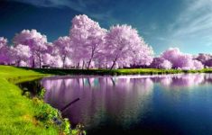 nice hd wallpapers from landscapes in the spring season