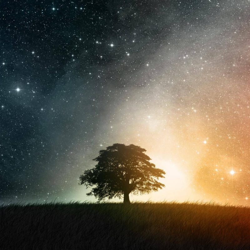 10 Most Popular Night Sky Star Wallpaper FULL HD 1920×1080 For PC Background 2024 free download night sky stars wallpapers wallpaper cave 27 800x800