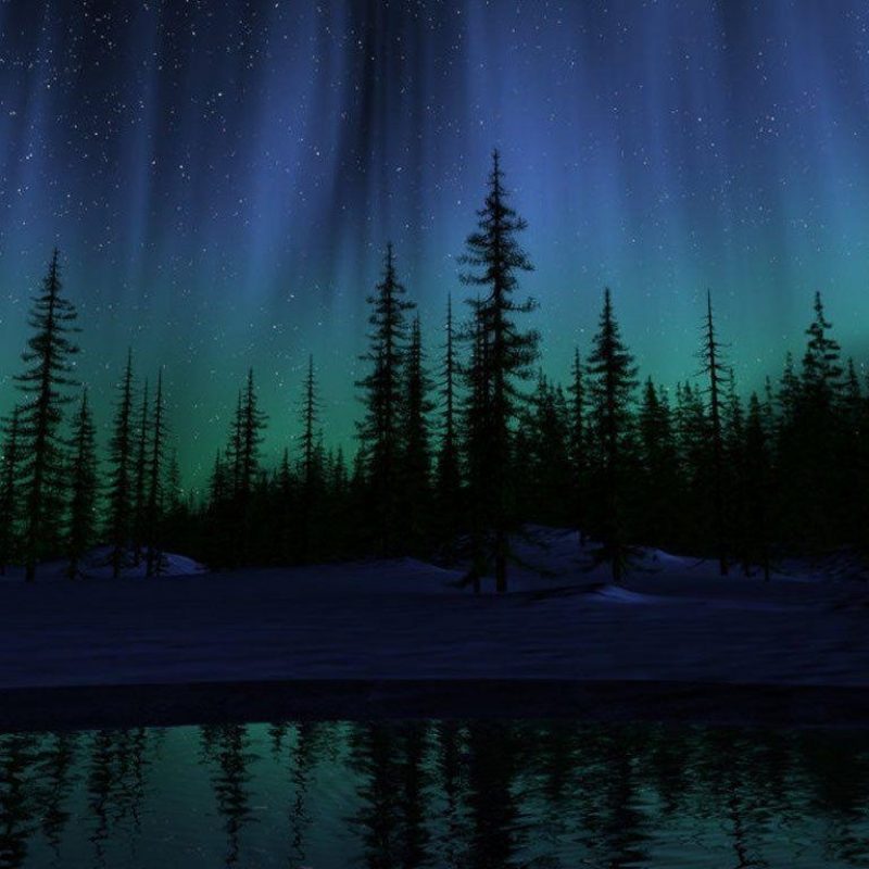10 Latest Hd Northern Lights Wallpaper FULL HD 1080p For PC Background 2024 free download northern lights wallpapers free wallpaper cave 2 800x800
