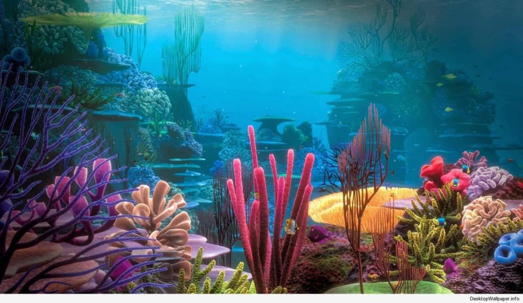 10 Top Ocean Life Desktop Backgrounds FULL HD 1920×1080 For PC Desktop 2024 free download ocean life wallpaper hd desktop wallpapers 1024x594