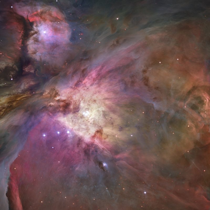 10 Latest Orion Nebula Hubble Wallpaper FULL HD 1920×1080 For PC Background 2024 free download orion nebula hubble space telescope 5k wallpapers hd wallpapers 800x800