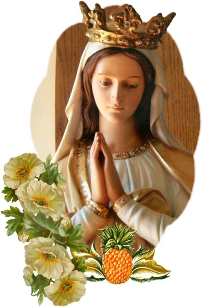 10 New Images Of Mother Mary FULL HD 1920×1080 For PC Desktop 2023 free download our lady 678x1024