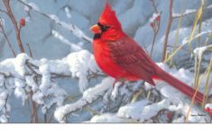 &amp; outdoor cardinal in snow matmate doormat-18x30