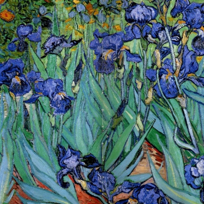 10 Latest Vincent Van Gogh Wallpaper Hd FULL HD 1080p For PC Background 2024 free download paintings vincent van gogh wallpaper 119809 800x800