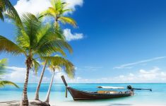 palm trees beach wallpapers group (84+)