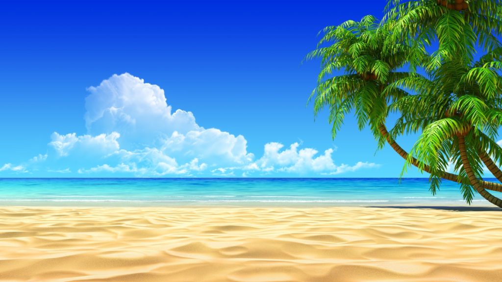 10 New Beach And Palm Trees Background FULL HD 1920×1080 For PC Background 2021 free download palm trees on a sandy beach walldevil 1024x576