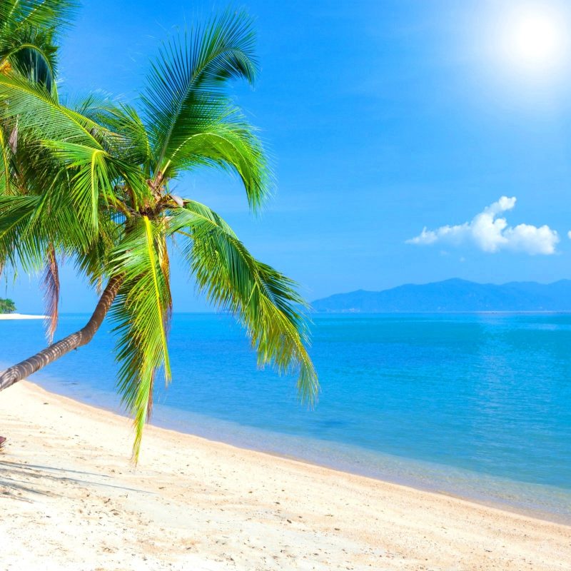 10 Best Caribbean Beach Pictures Wallpaper FULL HD 1920×1080 For PC Desktop 2024 free download palms caribbean beach water tropical ocean vacation sea summer sun 1 800x800