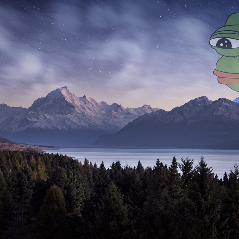 10 Top Pepe The Frog Background FULL HD 1080p For PC Background 2024 free download pepe meme wallpaper 72 images 800x800