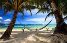 perfect tropical beach with palm trees and hammock stock photo