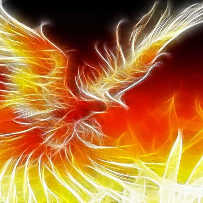 10 Top Cool Phoenix Bird Wallpaper FULL HD 1080p For PC Desktop 2024 free download phoenix bird google haku tattoos pinterest phoenix phoenix 800x800