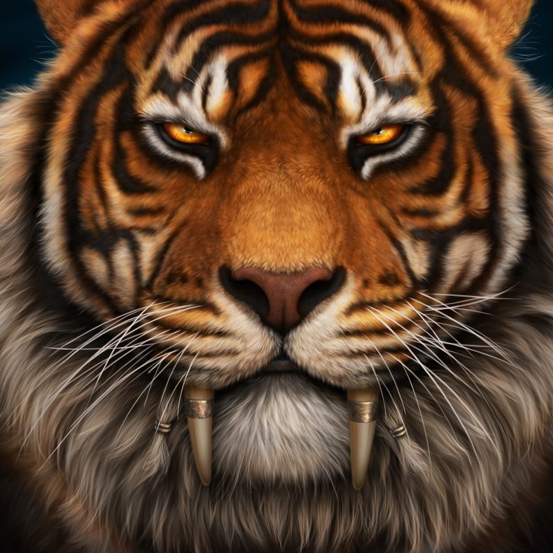 10 Best Saber Tooth Tiger Wallpapers FULL HD 1920×1080 For PC Background 2024 free download picture tigers canine tooth fangs saber toothed whiskers 3840x2400 800x800