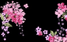pink and black flower wallpaper - wallpaper dekstop