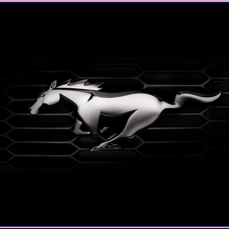 10 Most Popular Ford Mustang Pony Logo FULL HD 1920×1080 For PC Desktop 2024 free download pony car revenons un peu aux fondamentaux videos blog automobile 800x800