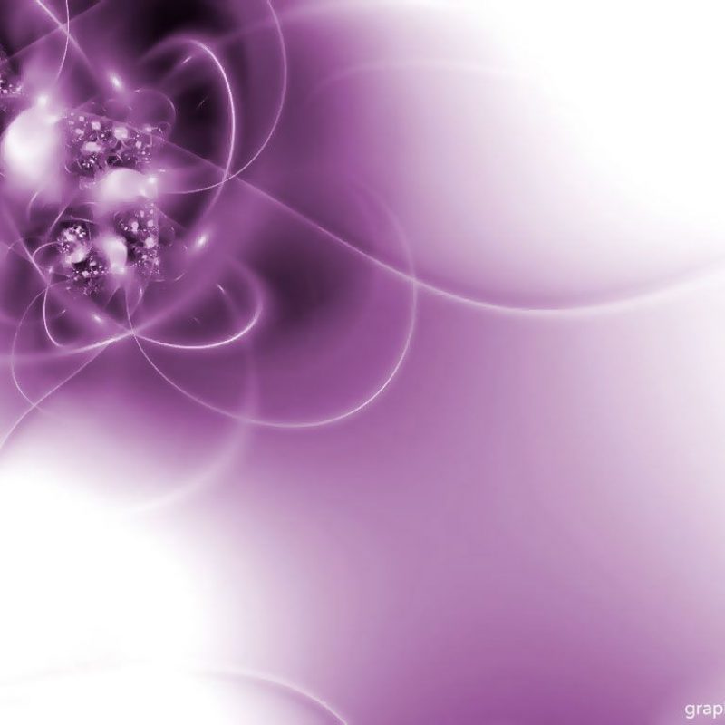 10 Top Cool Purple And White Backgrounds FULL HD 1920×1080 For PC Desktop 2023 free download purple and white purple white backgroundimage size 1024 x 768 800x800