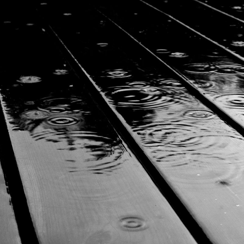 10 New Black And White Wallpapers FULL HD 1920×1080 For PC Background 2024 free download rain drops 50 best black and white wallpapers 2 800x800