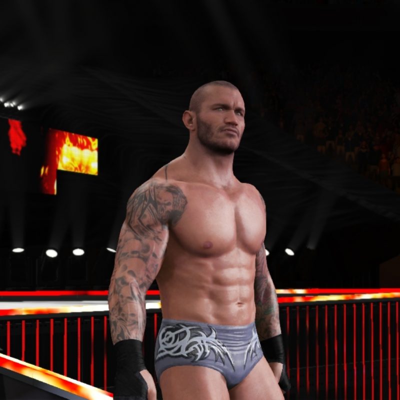 10 Top Wwe Randy Orton Photos FULL HD 1080p For PC Background 2021 free download randy orton wwe 2k17 roster 800x800