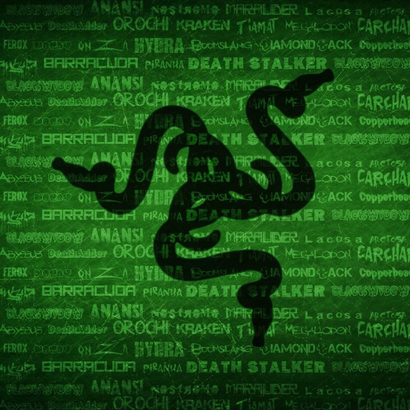 10 New Razer Gaming Hd Wallpaper FULL HD 1080p For PC Desktop 2021 free download razer full hd wallpaper and background image 1920x1080 id756393 800x800