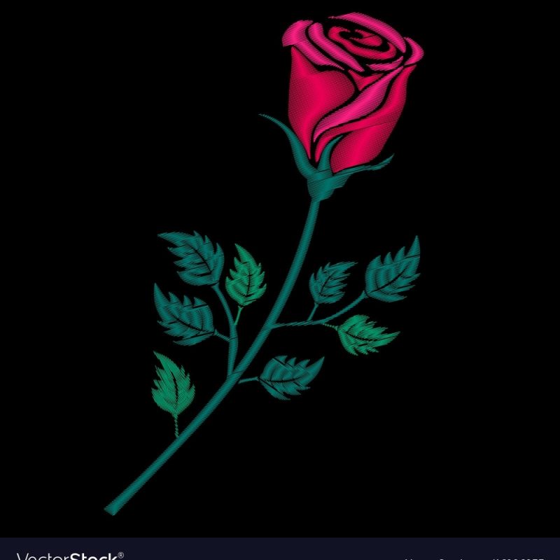 10 Best Roses On Black Background FULL HD 1920×1080 For PC Background 2021 free download red rose embroidery on black background royalty free vector 800x800