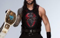 roman reigns' first pictures as intercontinental champion: photos
