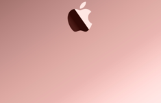 rose gold wallpapers - wallpaper cave