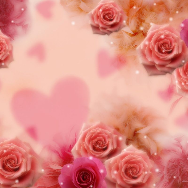 10 New Roses And Hearts Wallpaper FULL HD 1080p For PC Desktop 2021 free download roses and hearts hd wallpaper 800x800